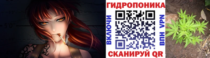 Магазины продажи наркотиков Волгодонск Галлюциногенные грибы Меф Гашиш СОЛЬ