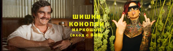 mdma Ельня