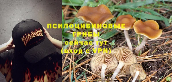 mdma Ельня