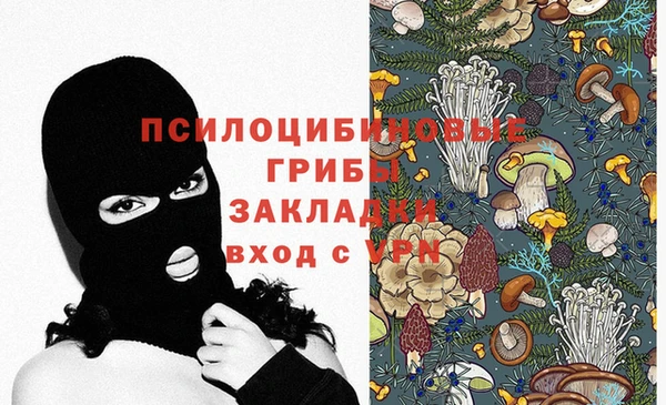 mdma Ельня