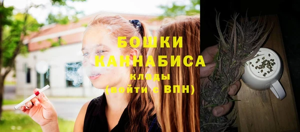 альфа пвп Елизово