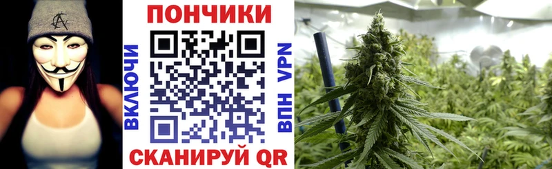 Каннабис OG Kush  Волгодонск 